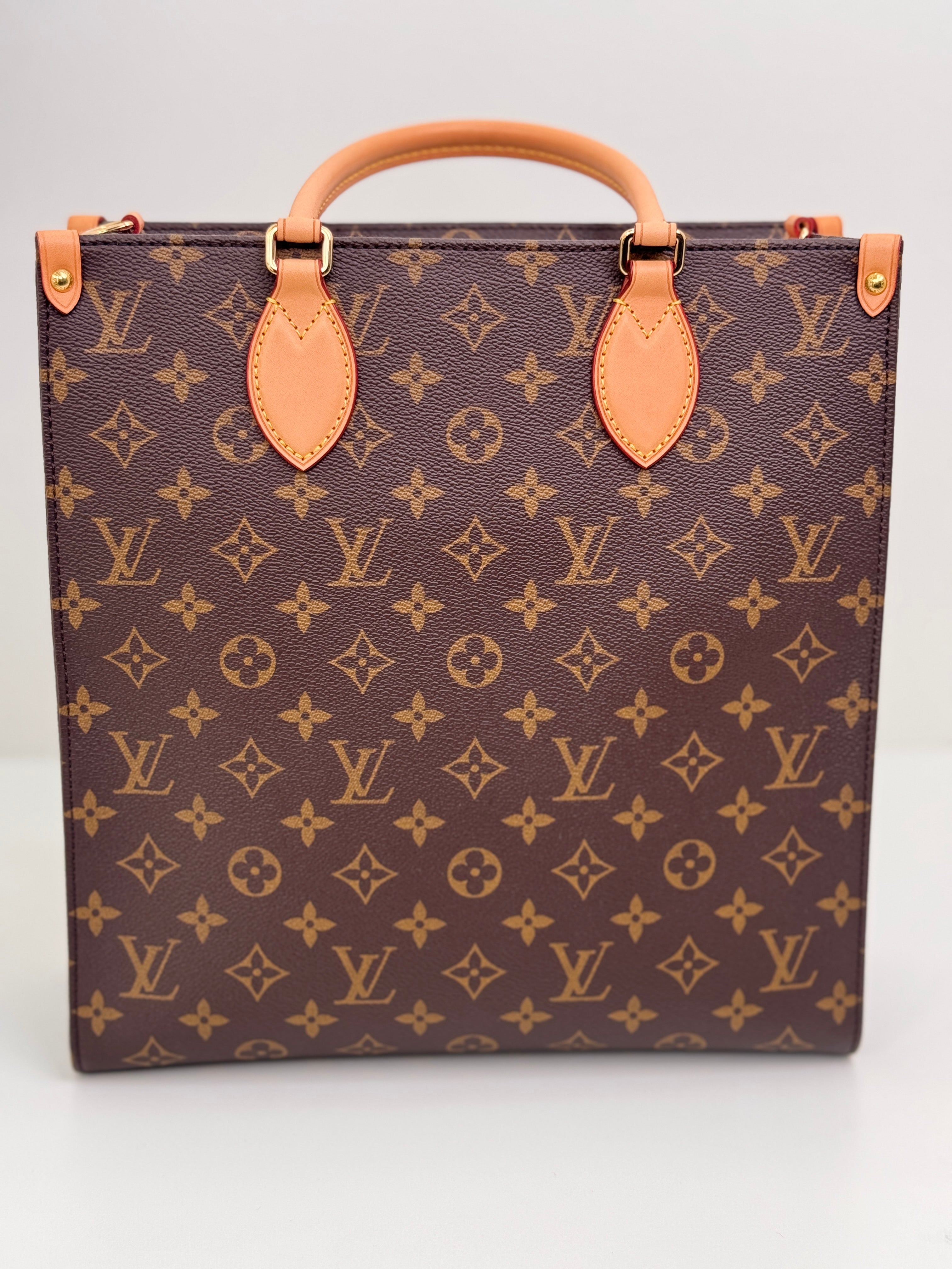 Louis Vuitton Monogram Sac Plat PM satchel